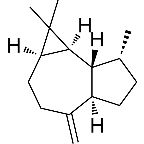 Aromadendrene ((+)-Aromadendrene) 489-39-4
